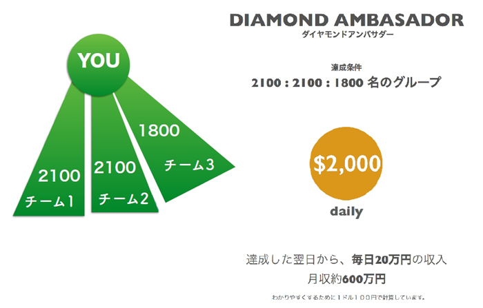 DIAMOND AMBASADOR